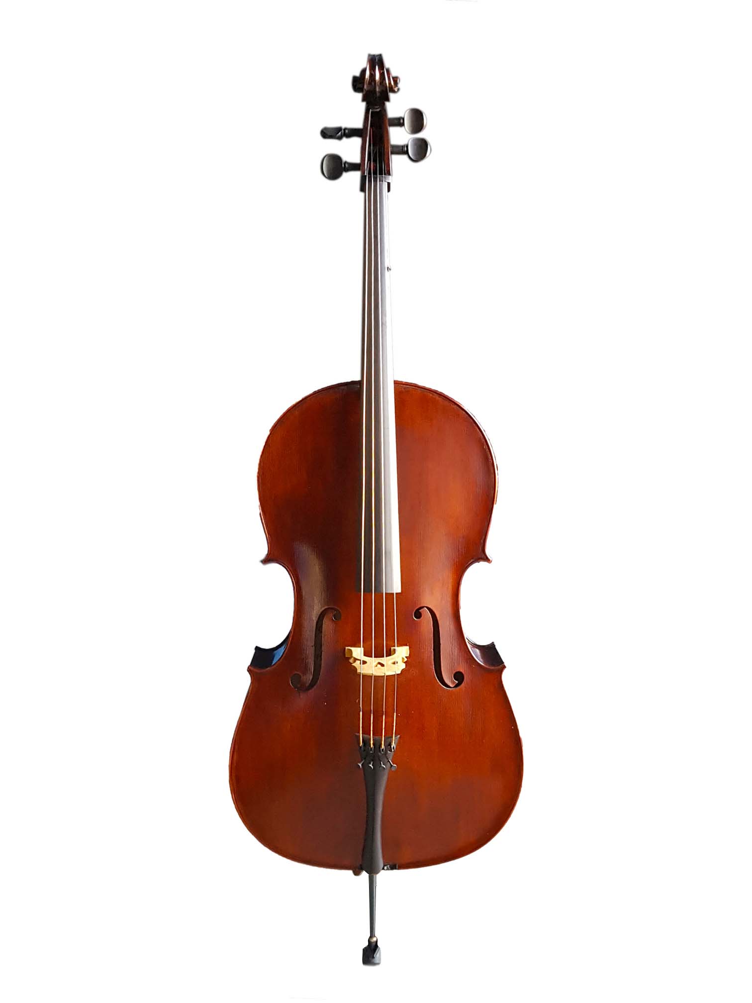 T&G 4/4 Concert Cello Backline Rental, Student Rental & Distribution